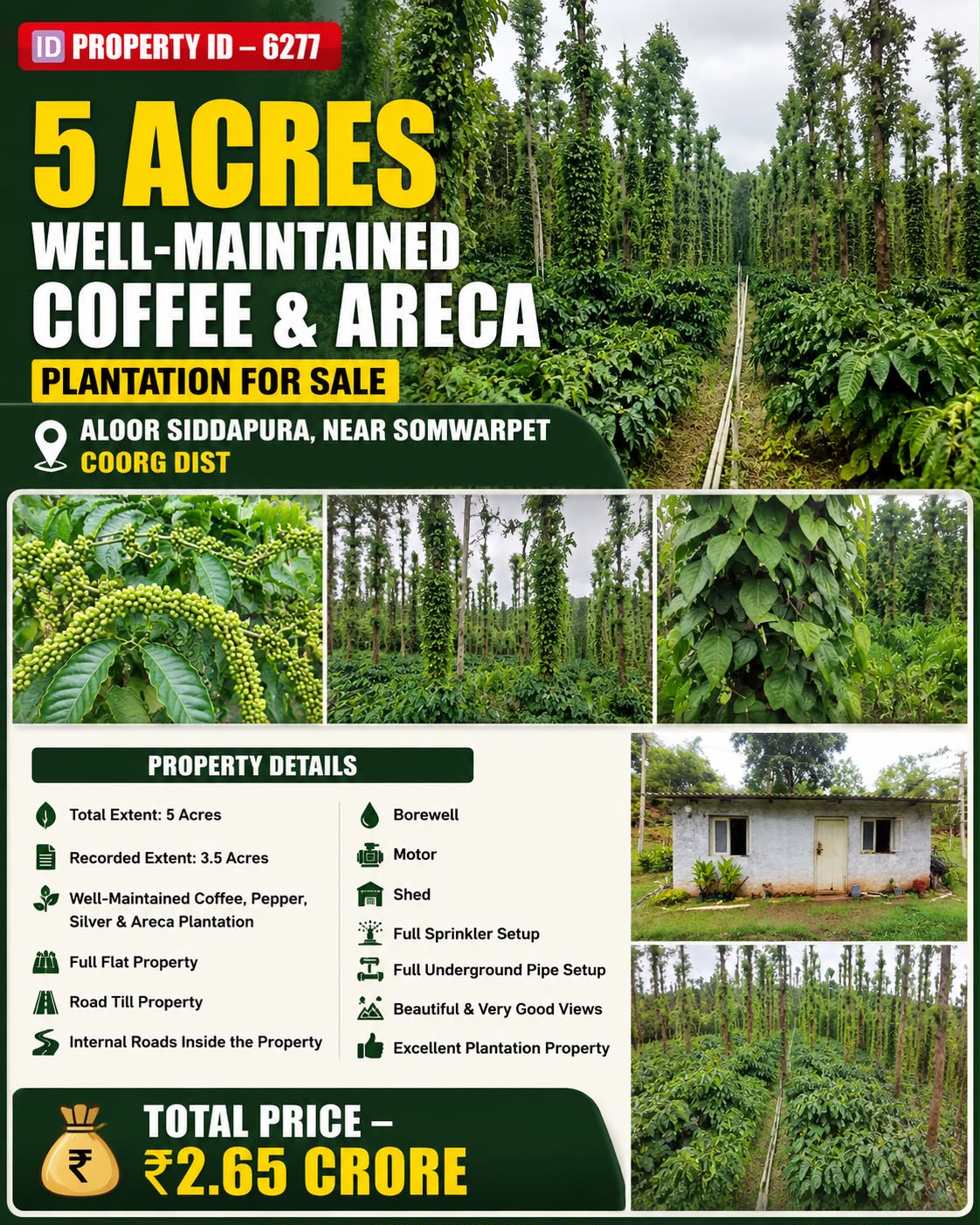 🆔 *PROPERTY ID – 6277* ☕🌿 *5 ACRES WELL-MAINTAINED COFFEE & ARECA PLANTATION FOR SALE – ALOOR SIDDAPURA*